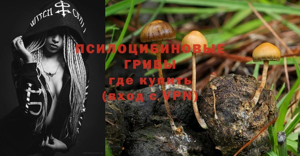 стаф Бугульма