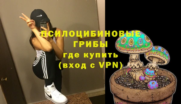 стаф Бугульма